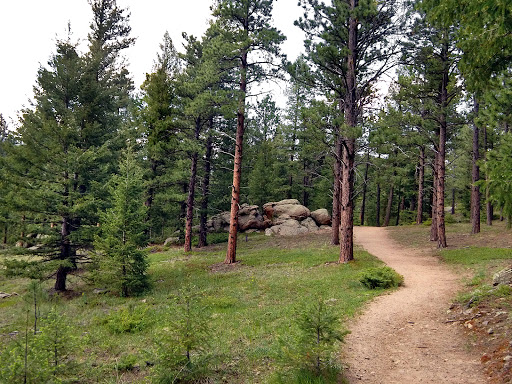Ponderosa Sisters Loop - United States