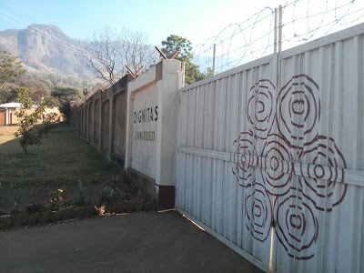 Photos of Dignitas International