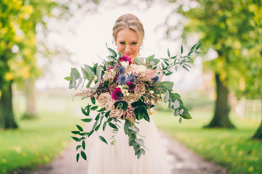 BLUSH + STEM - Visual