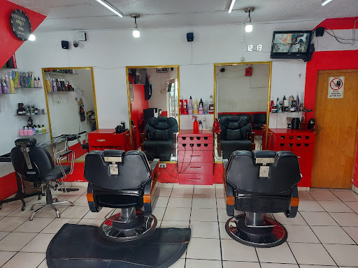 ESTÉTICA BARBER GINA