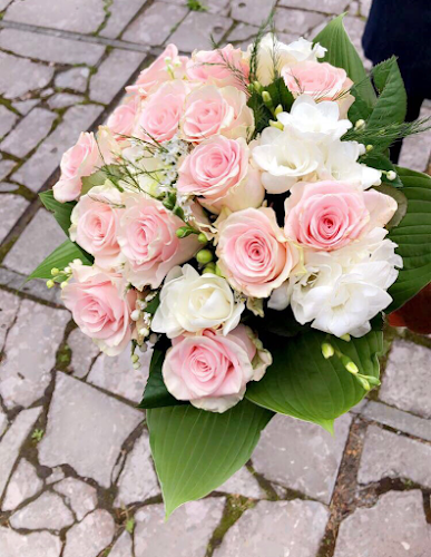 Comentarii opinii despre Kwiaciarnia Ewa. Trela Marek