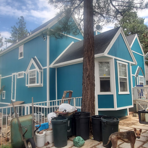 Leo's pro painting Inc. - Thumbnail