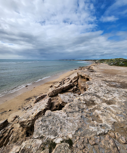 Gleesons Landing - Bush Campground Gallery - Australia