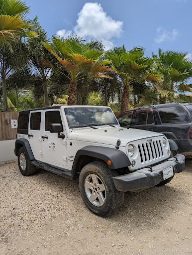 FG Company Car Rental - Netherlands