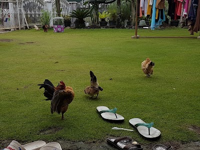 Photos of Rumah Pakankamih