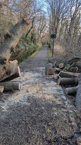 Llangollen Tree Surgeon