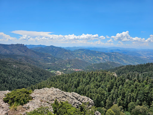 Parque Nacional El Chico Logo