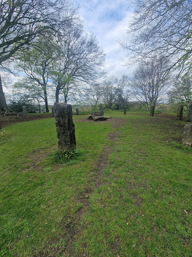 Mold Castle Gallery - United Kingdom