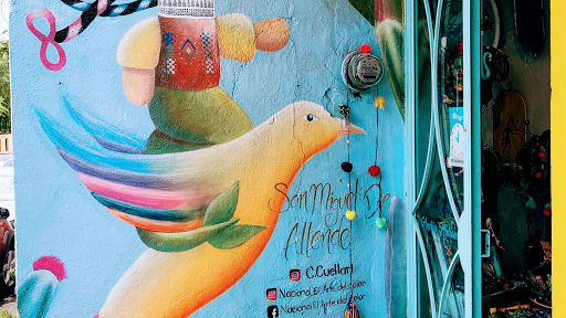 Nacionl el Arte del Color