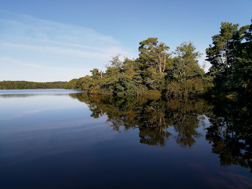 Canoe Rental