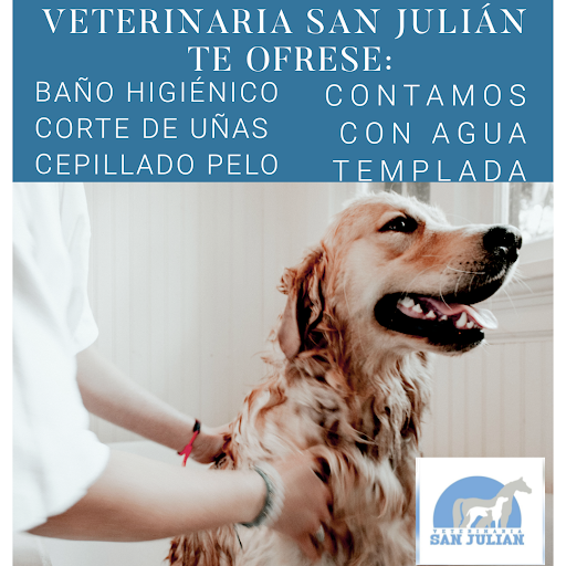 Veterinaria San Julián