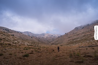 Photos of Karm El Mohr Cedar Forest