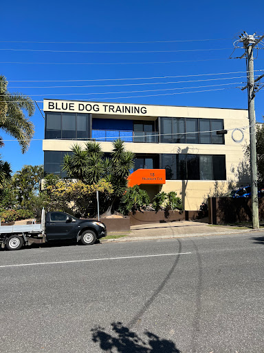 Blue Dog Training - Thumbnail
