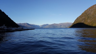 Photos of Vik Camping