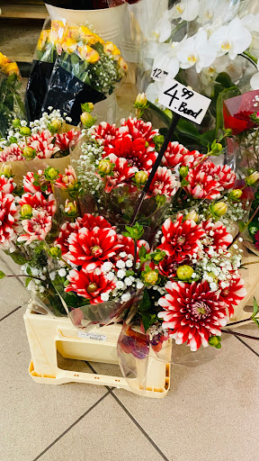 Blumen Forum