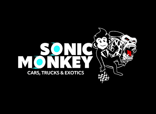 Sonic Monkey Motors - Visual