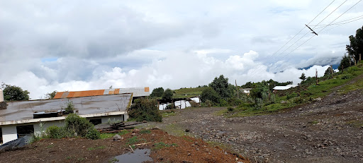 RANCHO VIEJO LA PERLA VER - Thumbnail