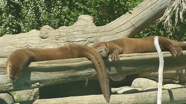 Parc Animalier des Pyrenees