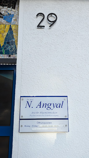 Dr. N. Adam Angyal - Thumbnail