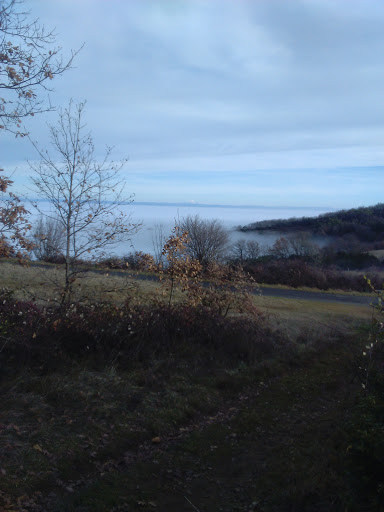 Vivre-en-Beaujolais - Thumbnail