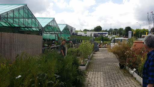Cercle Vert - Thumbnail