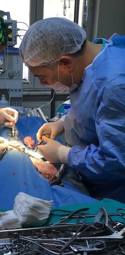 Photos of G & G Academia Veterinary Diagnostic and Treatment Center