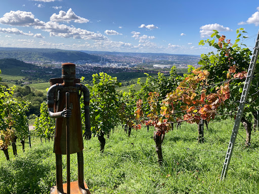 Treppen im Weinberg - Thumbnail