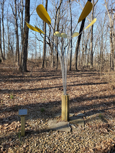 Library Trail Trailhead Gallery - United States