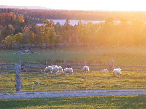 Rosehill Ranch - Thumbnail