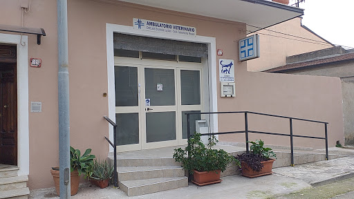 NUOVA SEDE Ambulatorio Veterinario Dott. RINALDI GIOVANNINO