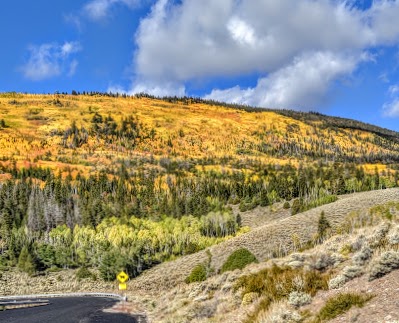 Fishlake National Forest