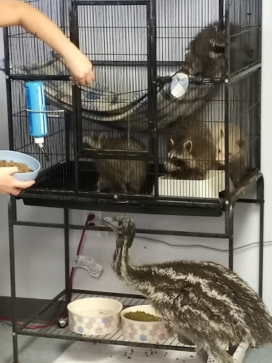 Panhandle Exotics - Visual