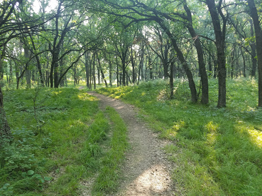 Four Mile Oak Loop Trail Gallery - United States