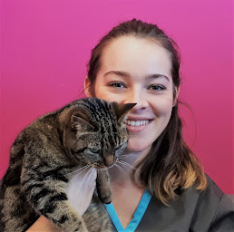 Photo n°17 de Clinique vétérinaire de Montrabé à Montrabé (Vétérinaire)