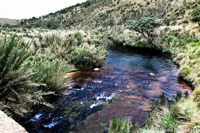 Horton Plains National Park