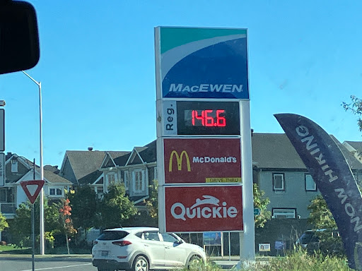 MacEwen Stonehaven - Visual