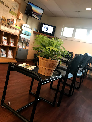 Spring-Ford Family Practice Logo