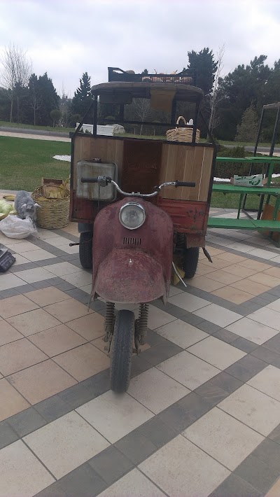 Photos of Heyder Eliyev Parki Yeni Ganja