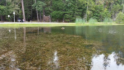 Lake Selmac Park