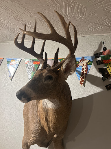 Nelson Deer Processing llc - Thumbnail