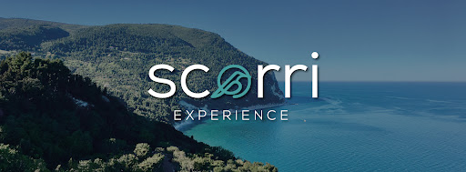 Scorri Experience - Visual