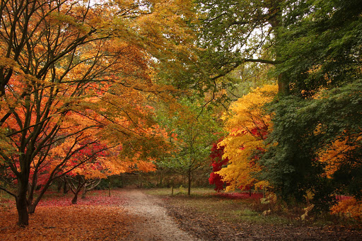 Queenswood Arboretum