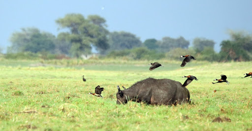 Bigmama.travel - Thumbnail