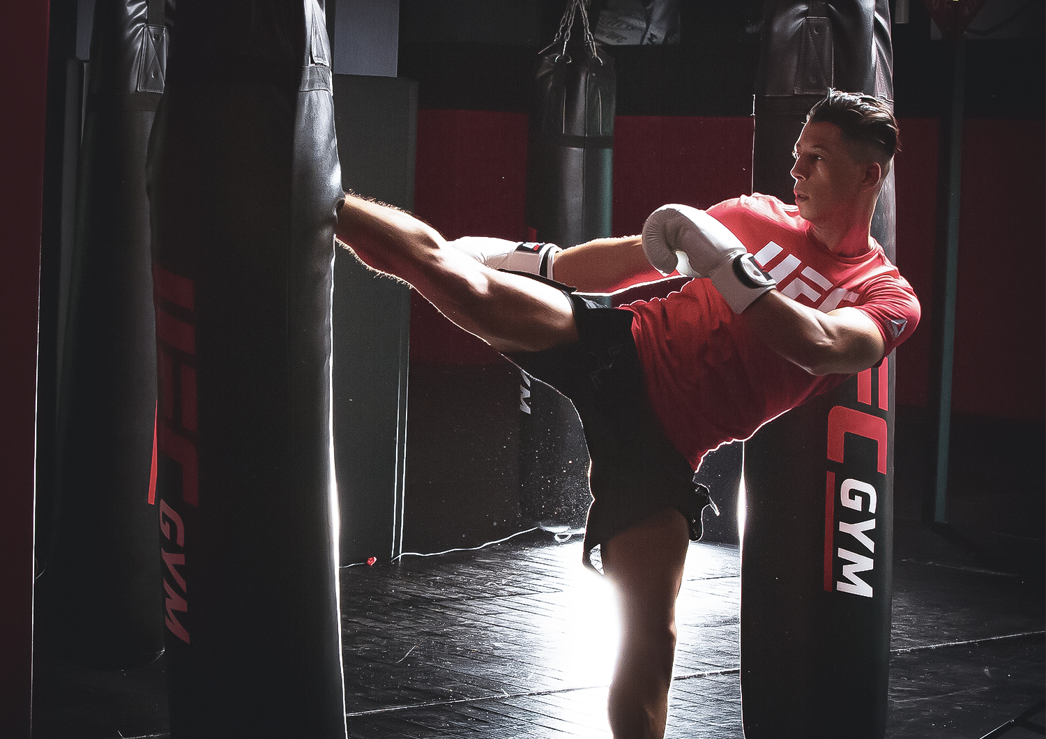Boxa Gym & fitness - صورة 3