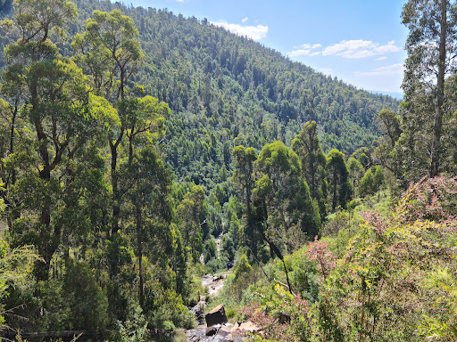 Steavenson Falls - Thumbnail