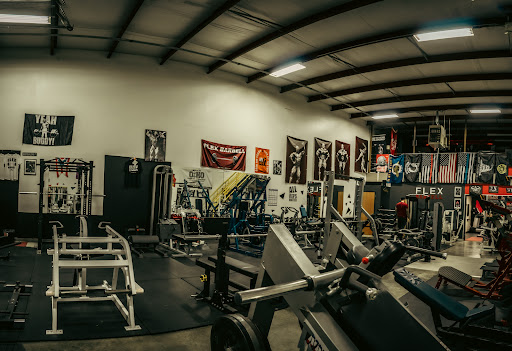 Flex Barbell - Visual