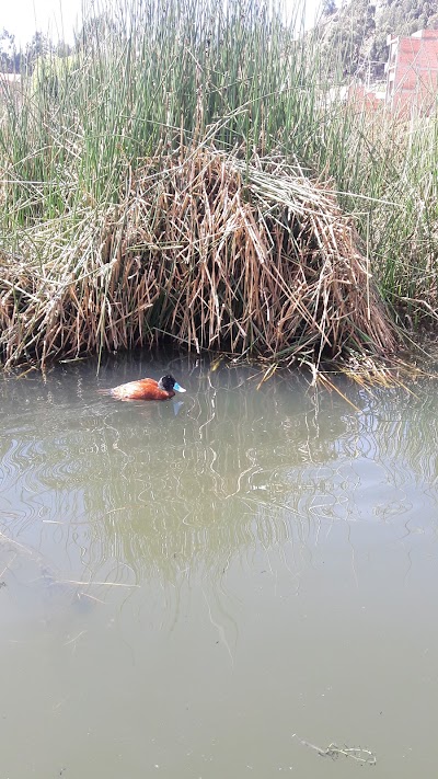 Photos of Laguna de Achocalla