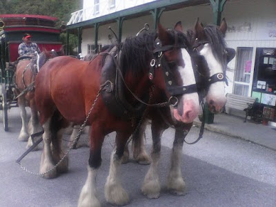 Photos of Otira Stagecoach Hotel