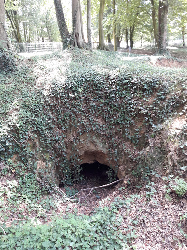 Bois de Wallieux - Thumbnail