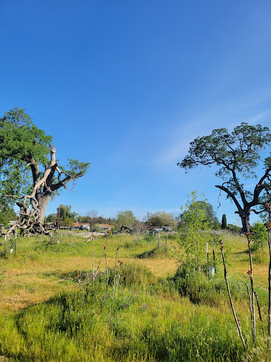 John Mackey Memorial Park - Thumbnail